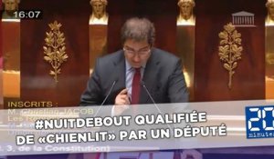 #NuitDebout qualifiée de «chienlit» par le député Christian Jacob