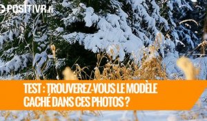 TEST : Trouverez-vous le modèle caché dans ces photos