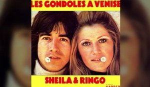Sheila en colère contre son ex-mari, Ringo