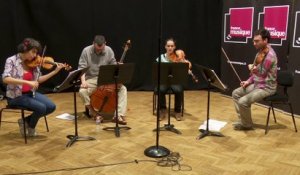 Mozart : Quatuor milanais n°5 par le Kitgut Quartet I Le live de la matinale