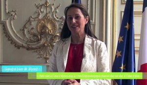 Démocratie participative : Ségolène Royal lance le site internet pour la démocratisation du dialogue environnemental