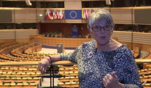 Au Parlement européen, 2 élus britanniques divisés sur le Brexit
