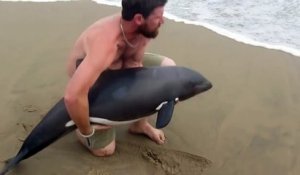 Un prof de kayak sauve un bébé dauphin échoué