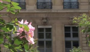 Ségolène Royal, Présidente de la COP21, a présidé le forum de haut niveau de la coalition pour le prix du carbone