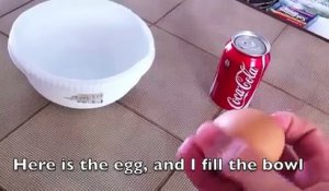 Laisser un oeuf dans du Coca-Cola pendant 1 an