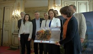 Une pétition pour interdire des insecticides nocifs pour les abeilles récolte 600.000 signatures - Le 16/06/2016 à 17h00