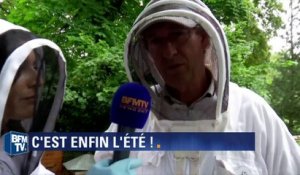 Jardin du Luxembourg: les fortes pluies ont mis en danger les récoltes de miel