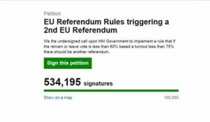 Plus de 700.000 Britanniques anti-Brexit signent une pétition pour la tenue d'un nouveau référendum - Le 25/06/2016 à 10h00