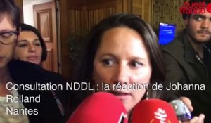 Consultation NDDL : réaction de Johanna Rolland