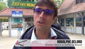 Talent du tourisme 2016 : ZooParc de Beauval - Région Centre Val de Loire