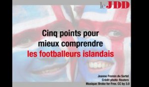 France-Islande : 5 points pour mieux comprendre les footballeurs islandais
