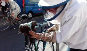 Ce cycliste retrouve un essaim d'abeilles sur son vélo