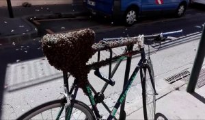 Un essaim d'abeilles recouvre un vélo à toulouse