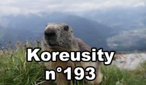 Koreusity n°193