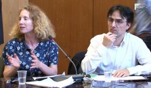 Audition de Alexis SPIRE (CNRS) et Katia WEIDENFELD (Historienne) - Evitement fiscal - cese