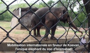 Mobilisation en faveur de l'éléphant du zoo d'Islamabad