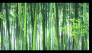 Cycle "Chanbara - Kurosawa l'Art du samouraï" du 10 au 23 août 2016