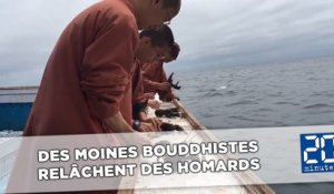 Des moines bouddhistes achètent et relâchent des centaines de homards