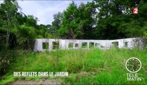 Jardin - Un jardin entre miroir et herbacés - 2016/07/27