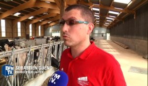 Les agriculteurs désemparés face à la baisse du prix du lait