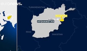 Le chef de l'EI en Afghanistan et au Pakistan abattu (source militaire US)