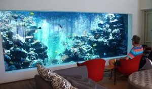 Il installe un aquarium géant de 30 000 litres dans sa maison !