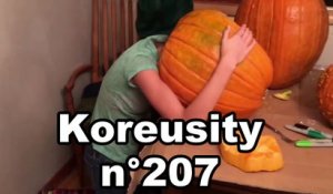 Koreusity n°207