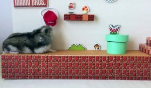 Super Mario Bros version hamster