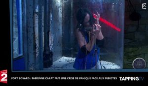 Fort Boyard : Fabienne Carat totalement hystérique face à des insectes (Vidéo)