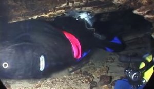 Plongée sous marine dans des caves et grottes !