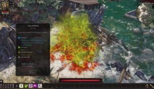 Divinity : Original Sin II - Gameplay