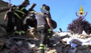 Un chien sorti des décombres 9 jours après le tremblement de terre en Italie