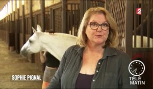 Emploi - Equicoaching, le cheval pour réveiller sa personnalité