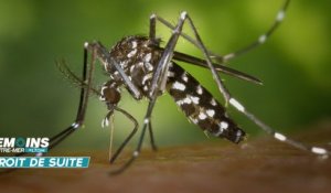 Zika, vaccin en vue - LTOM