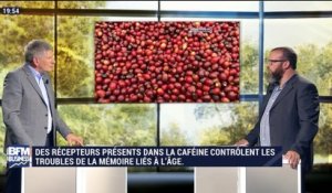 La caféine, une arme contre le cancer et le diabète ? - 10/09