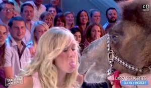 Zapping Télé du 9 septembre 2016 - Énora embrasse un chameau !