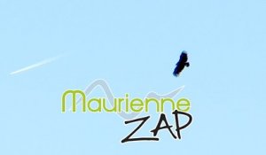 Maurienne Zap # 302