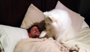 Ses amis avaient du mal à croire que son chien se chargeait de son réveil, mais quand ils voient cette vidéo, ils sont s