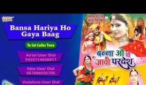 Bansa Hariya Ho Gaya Baag | Sarita Kharwal Vivah Song | Marwadi DJ Remix Song
