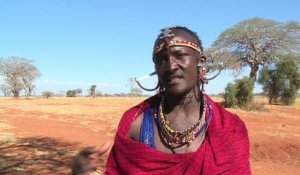 Des Masaï "gardiens de lions" troquent leur lance pour un GPS