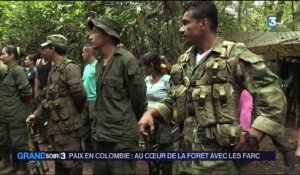 Colombie : FARC, le retour imminent à la vie civile