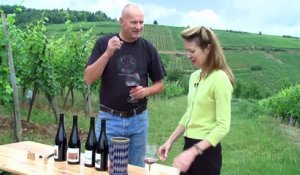 Discovering Alsace Pinot Noir with Joanna Simon (Episode 03)