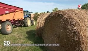 Agriculteurs : comment l'État va les aider