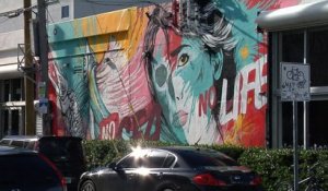 Wynwood, le quartier devenu temple du street art à Miami