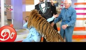 Club Dorothée : un tigre se jette sur Dorothée ! (1997)