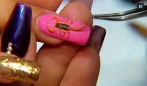 "Mexican manucure" : un scorpion mort sur l'ongle