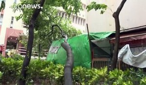 Hong Kong balayée par le typhon Haima, moins violent qu'aux Philippines