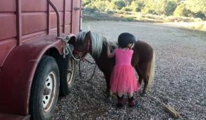 La persévérance d'une petite fille qui essaye de monter sur un poney !