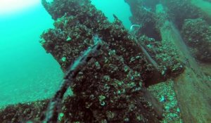 St. Clair River Dive Under Freighter - The Real Deal