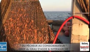 AGDE - DU PÊCHEUR AU CONSOMMATEUR "  DE LA CRIEE du GRAU D'AGDE à VOTRE  INTERMARCHÉ